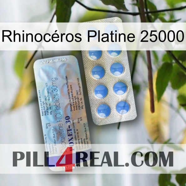 Rhinocéros Platine 25000 39.jpg